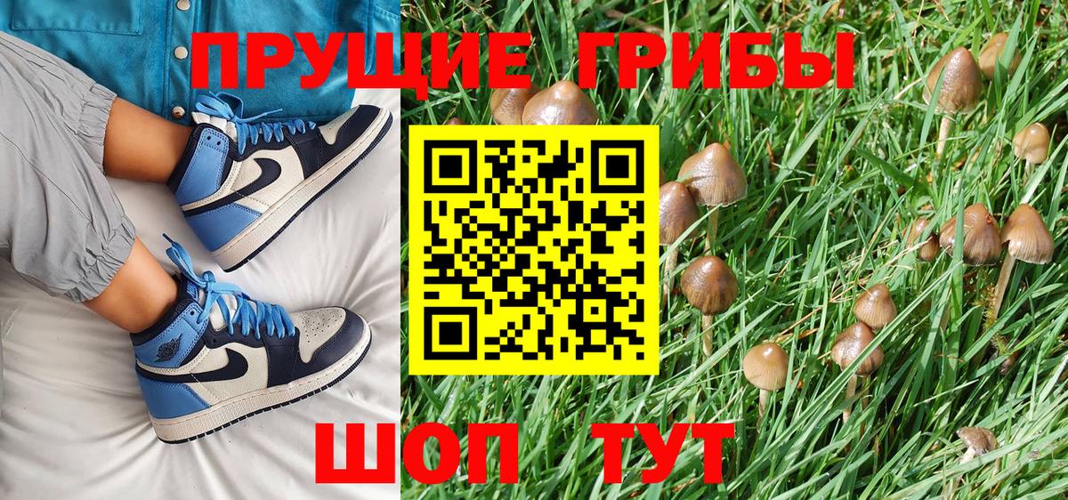 Псилоцибиновые грибы Magic Shrooms Мценск